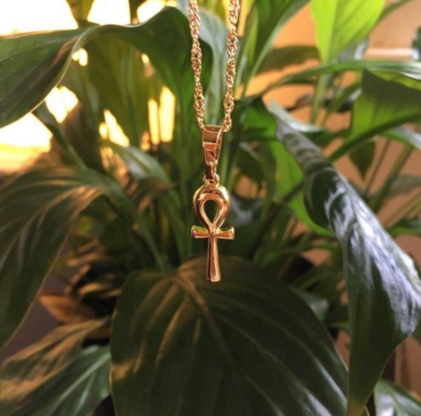 Lavishluxxshop